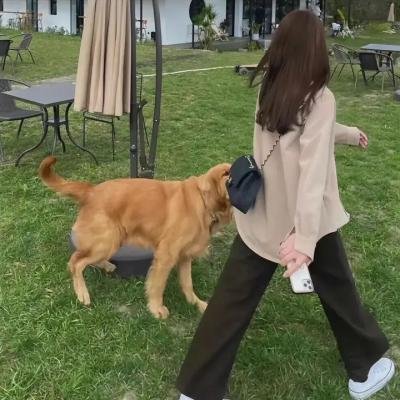 追凶线索