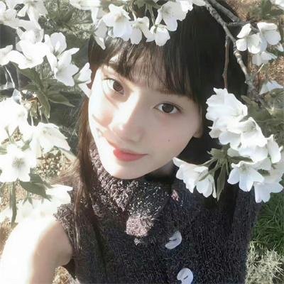 瑶台仙韵